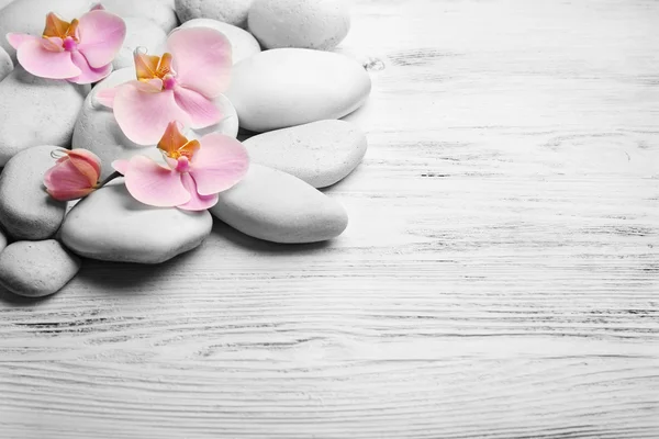 Spa stenen en orchideebloemen — Stockfoto