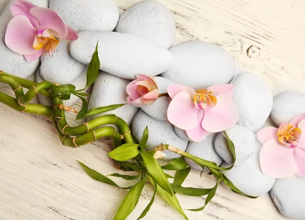 Spa stones and orchid flowers — Stock Photo, Image