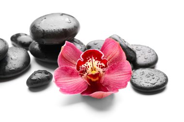 Spa taşlar ve kırmızı orkide 