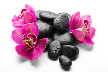 Spa taşlar ve kırmızı orkide 