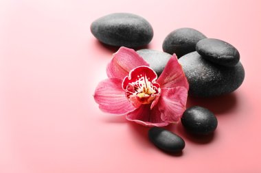 Spa taşlar ve kırmızı orkide 