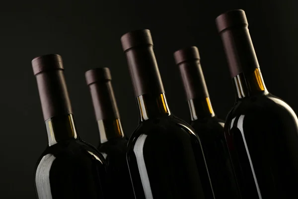 Bottiglie di vino di fila — Foto Stock