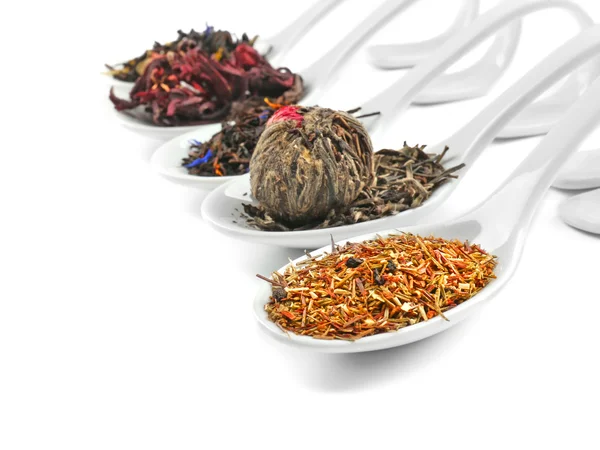 Diferentes tipos de té seco — Foto de Stock