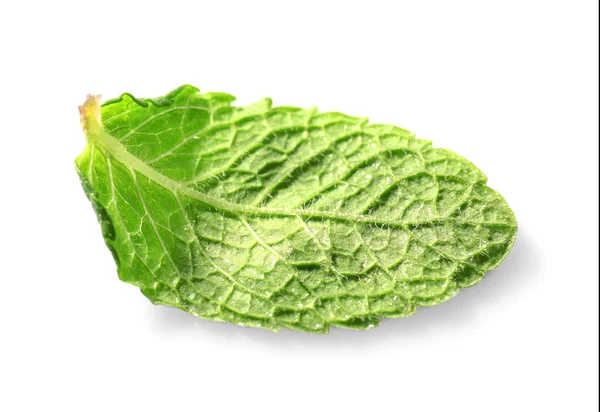 Green leaf on white — Stock Photo, Image