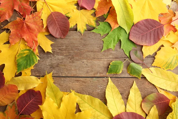 Hojas de otoño fondo —  Fotos de Stock