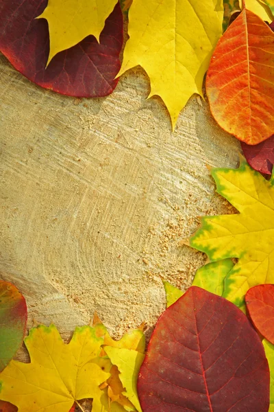 Podzim opustí pozadí — Stock fotografie