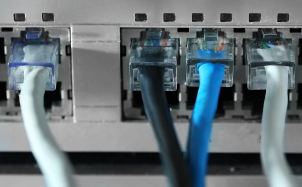 Τα καλώδια Ethernet που συνδέονται — Φωτογραφία Αρχείου