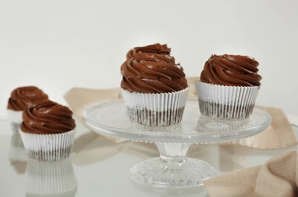 Beautiful chocolate cupcakes — Stock Photo, Image