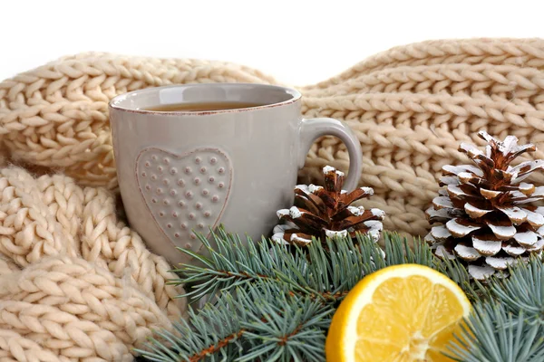 Зимняя композиция с чашкой горячего напитка — стоковое фото