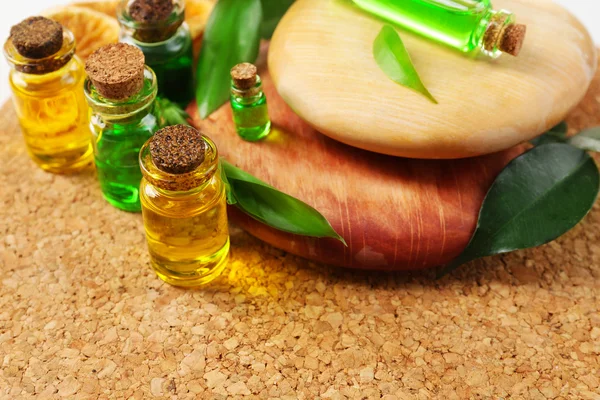 Bottles of tea oil — Stock Photo, Image