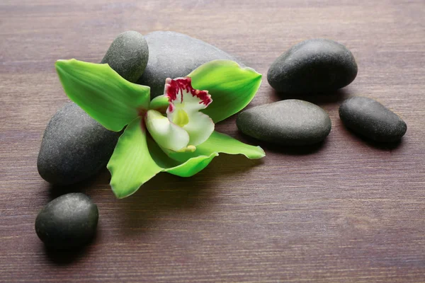 Piedras y orquídea verde — Foto de Stock