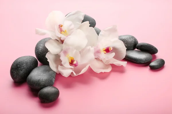 Spa taşlar ve beyaz orkide — Stok fotoğraf