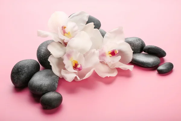 Spa stones and white orchid — Stock Photo, Image