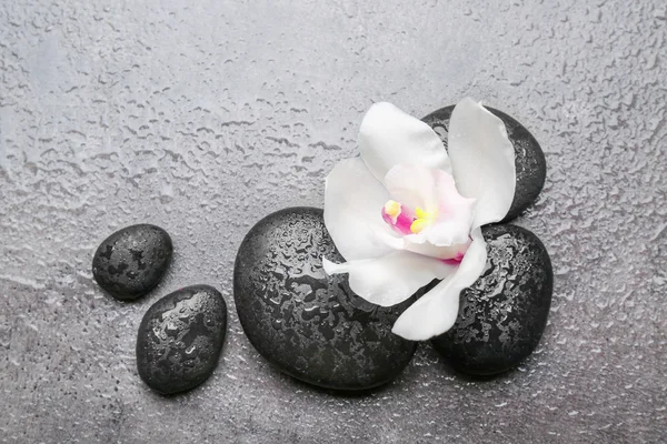 Piedras de spa y orquídea blanca —  Fotos de Stock