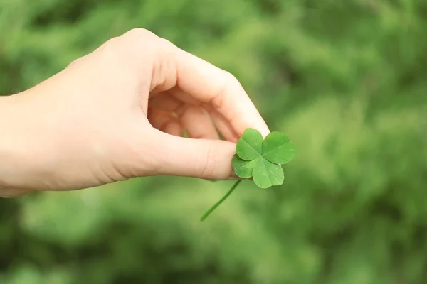 Female hand holding clover leaf — Stock Photo, Image