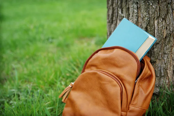 Female backpack with book — Stock Photo, Image