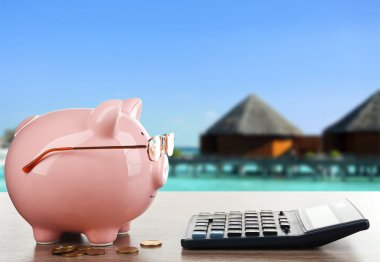 Gözlüklü domuz kumbarası