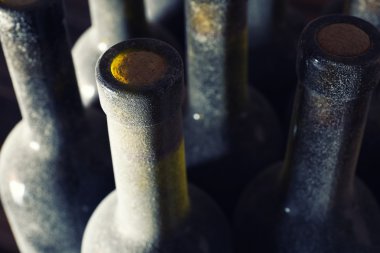 tozlu şarap şişeleri