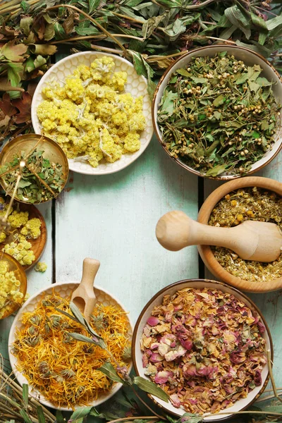 Assortment of dry medicinal herbs in bowls — Stock Photo, Image