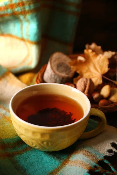 Taza de té con decoración de otoño —  Fotos de Stock