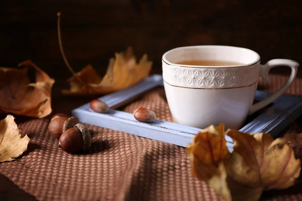 Tasse de thé avec décor d'automne — Photo