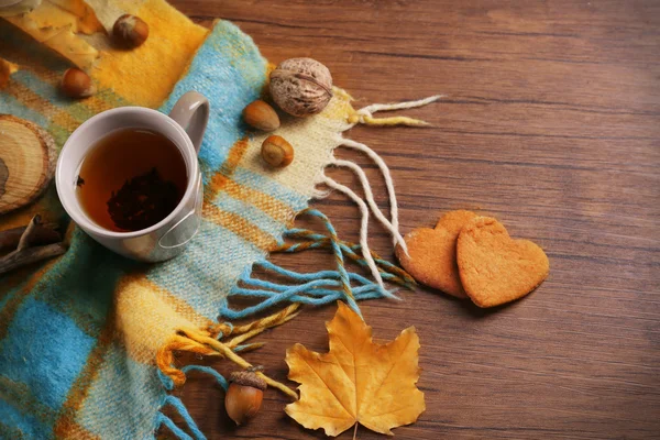Šálek čaje s podzimní výzdobou — Stock fotografie