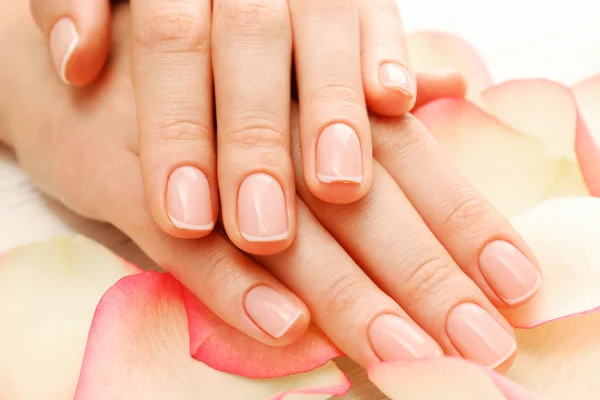 Woman hands with beautiful rose petals — Stock Photo, Image