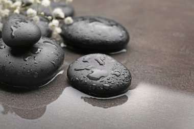 Güzel spa kompozisyonu 