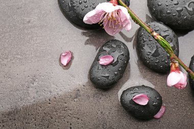 Güzel spa kompozisyonu 