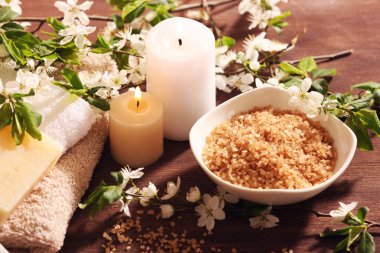 Çiçek açan dalları ile Spa kompozisyon 