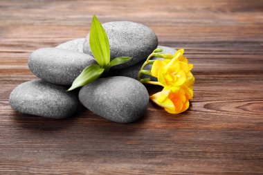 Güzel spa kompozisyonu 