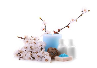 Çiçek açan şube ile Spa kompozisyon