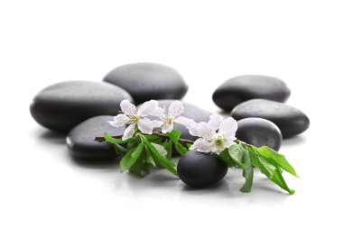 Spa taşlarla çiçek şube