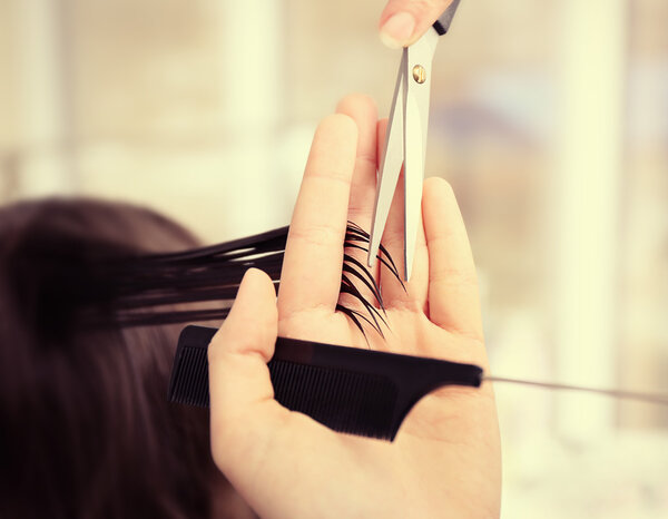 hairdresser cutting clients hair