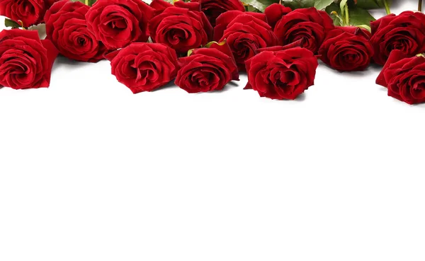 Boeket van rode rozen geïsoleerd — Stockfoto