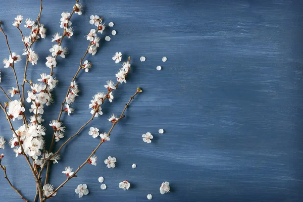 Blooming branch of tree — Stock Photo, Image