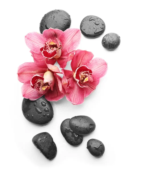 Piedras de spa y hermosa orquídea rosa — Foto de Stock