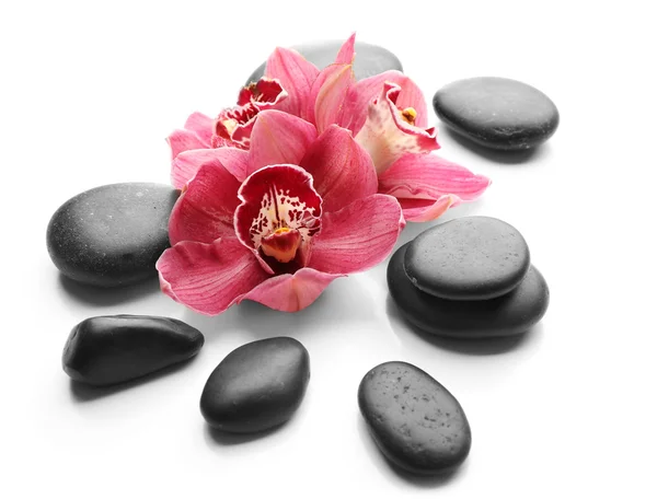 Piedras de spa y hermosa orquídea rosa — Foto de Stock