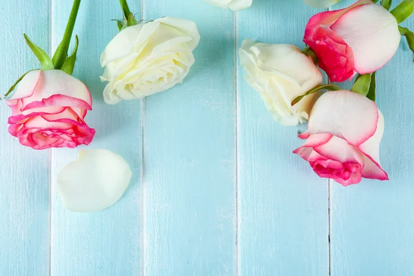 Rosas em azul claro — Fotografia de Stock