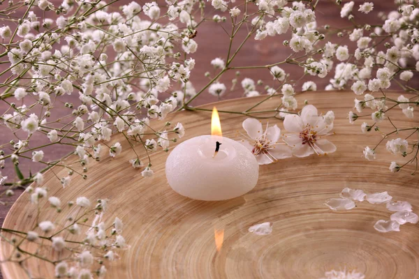 Candle with blooming branches — Stock Photo, Image