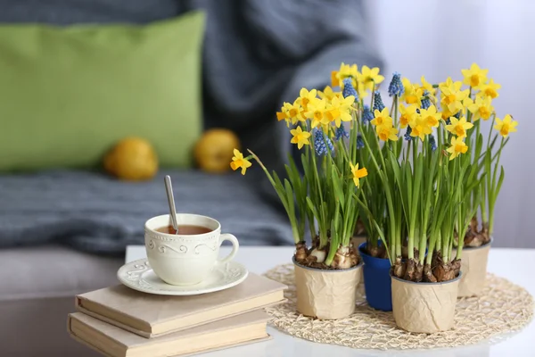 Narcisser blommor med böcker och cup — Stockfoto