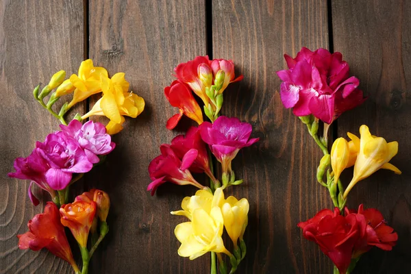 Beautiful freesia flowers — Stock Photo, Image