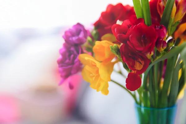 Bellissimi fiori fresia — Foto Stock