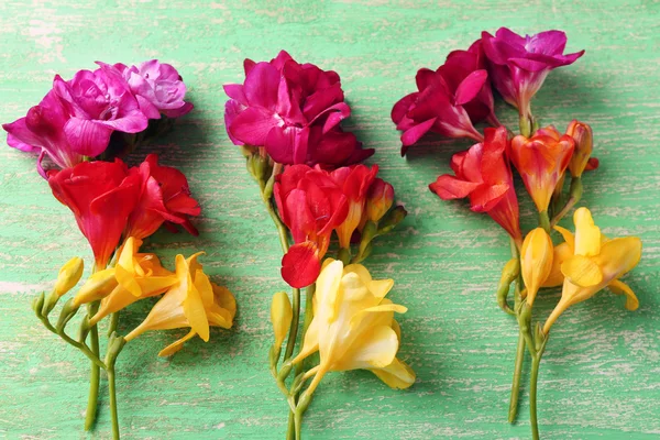 Mooie fresia's bloemen — Stockfoto