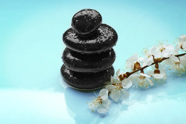 Spa stones with blooming branch — Stock Photo, Image
