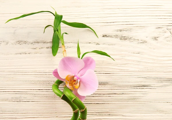 Spa stones, bamboo stack — Stock Photo, Image