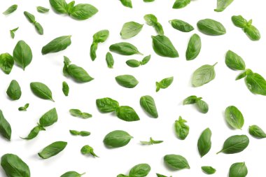 taze fesleğen yaprağı 