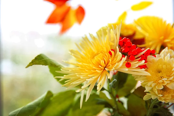 Ramo con flores de crisantemos — Foto de Stock