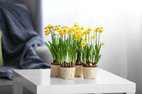 Narciso flores na mesa dentro de casa — Fotografia de Stock