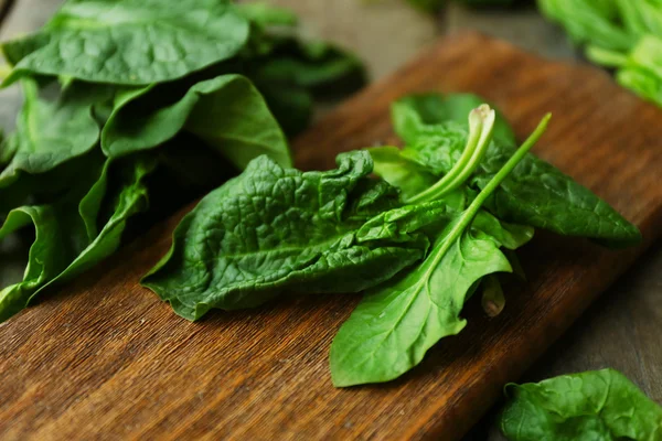 Frische Spinatblätter — Stockfoto